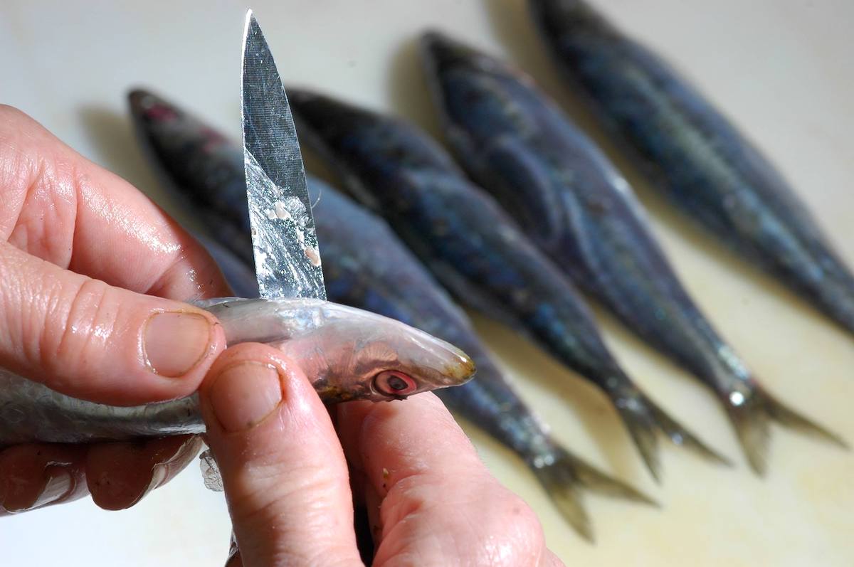 Sardines millésimées préparées à la main chez La Perle des Dieux
