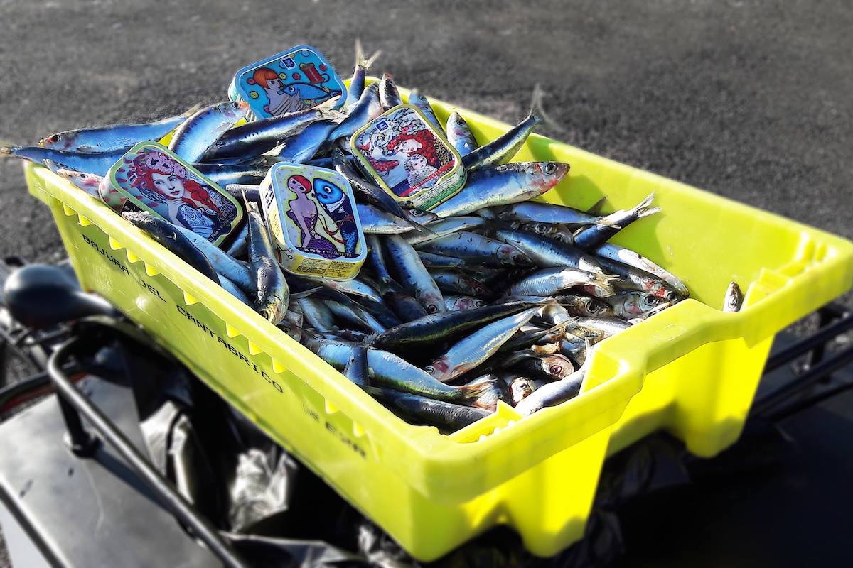 Boîte de sardines millésimées La Perle des Dieux, dans son écrin illustré