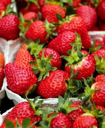 Fraises © Couleur de Pixabay