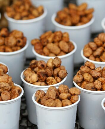 Gobelets de souchet ©Luis Fernando Talavera de Pixabay