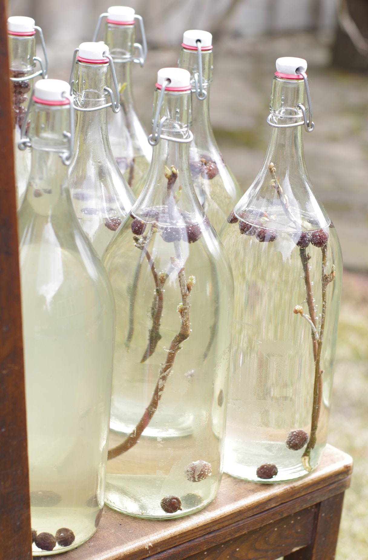 Sève de bouleau parfumée ©Lithuania - Real is beautiful