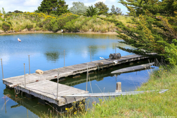 Les Jardins de la Mer