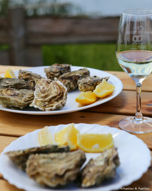 Assiette d'huîtres - Huîtrier Pie