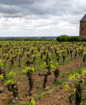 Domaine Ménard Gaborit