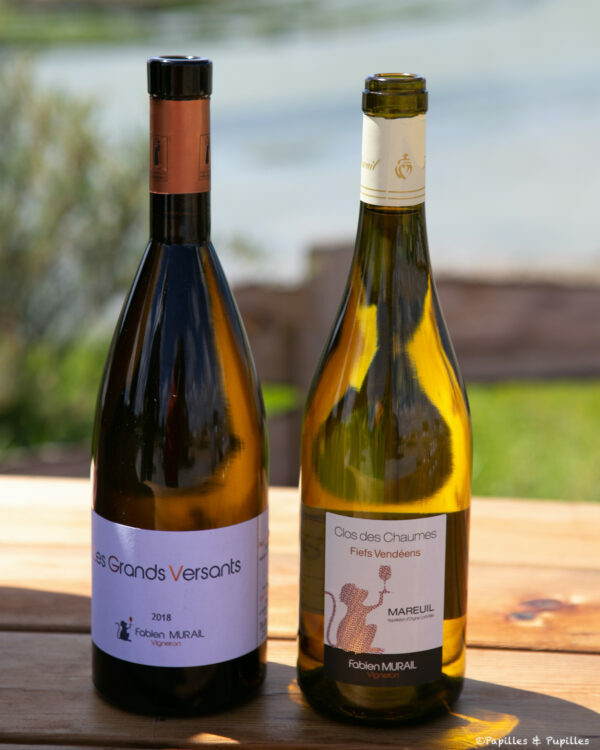 Fiefs Vendéens - Fabien Murail