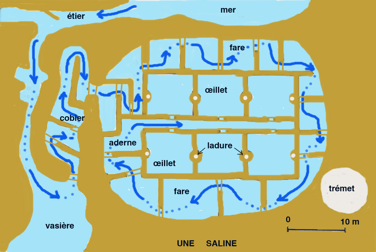 Fonctionnement d'une saline ©Alexandrin - Licence GFDL vikidia