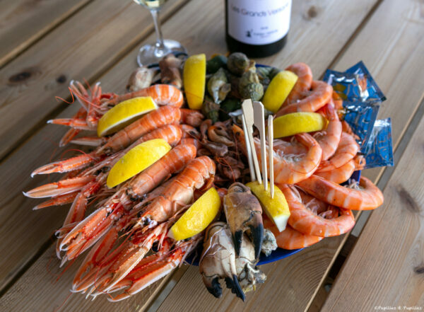 Plateau de fruits de mer - Huîtrier Pie
