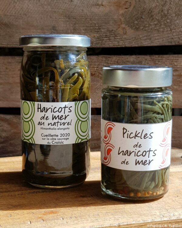 Préparations à base de haricots de mer