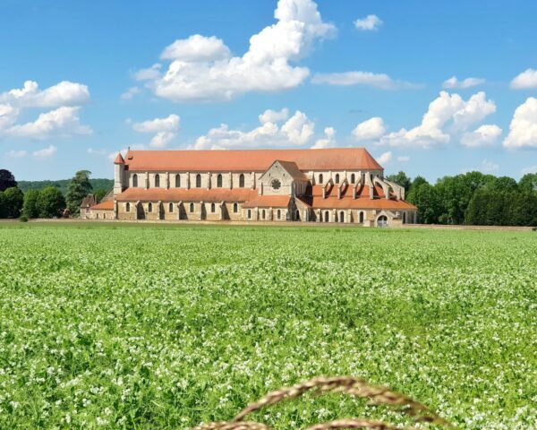 Abbaye de Pontigny