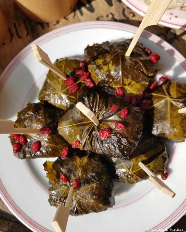 Dolma et épine vinette