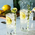 Gin fizz citron romarin ©viennetta shutterstock
