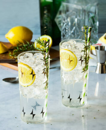 Gin fizz citron romarin ©viennetta shutterstock