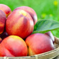 Nectarines © Igor Normann shutterstock