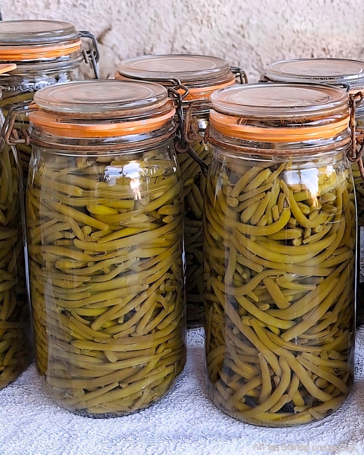 Conserves de haricots verts - Bocaux