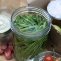 Conserves de haricots verts ©Le Parfait