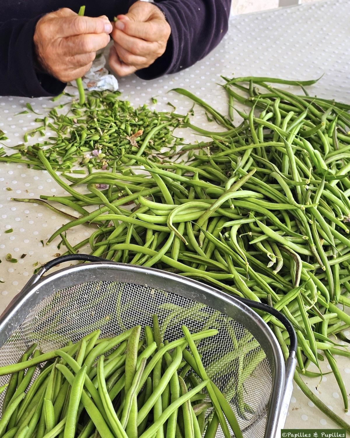 Effiler les haricots verts