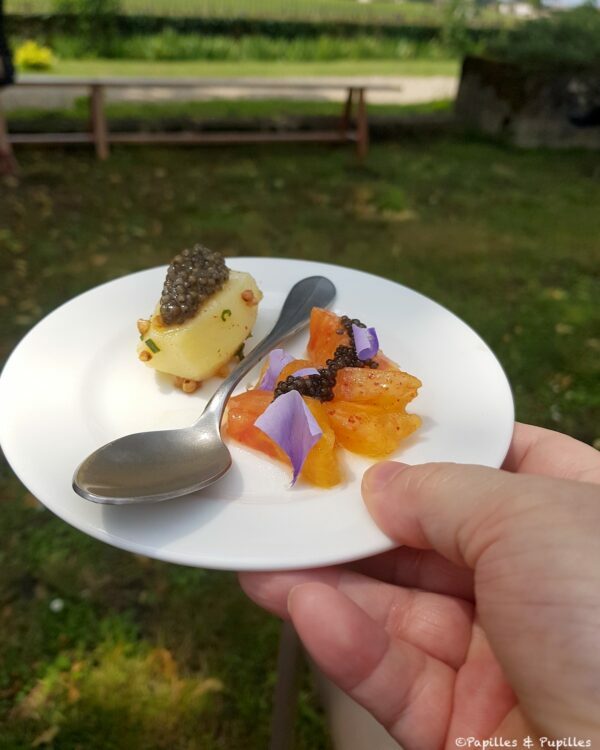 Entrées au caviar Sturia