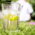 Gin Tonic ©David Brookes CC BY NC ND 2.0