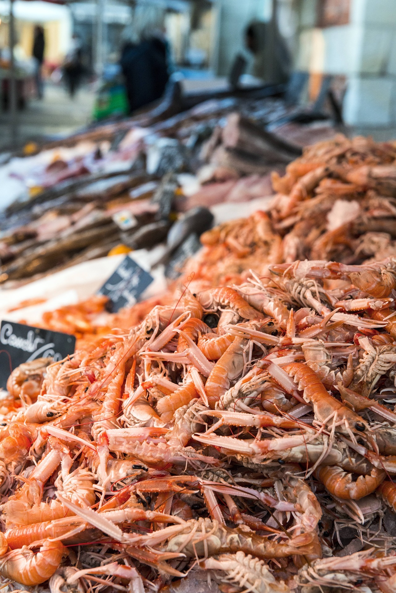 Langoustines crues prêtes à être cuites