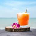 Mai tai © Mix and Match Studio shutterstock