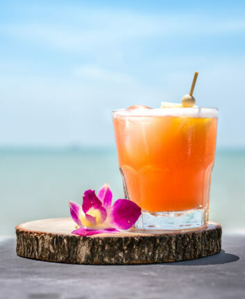 Mai tai © Mix and Match Studio shutterstock