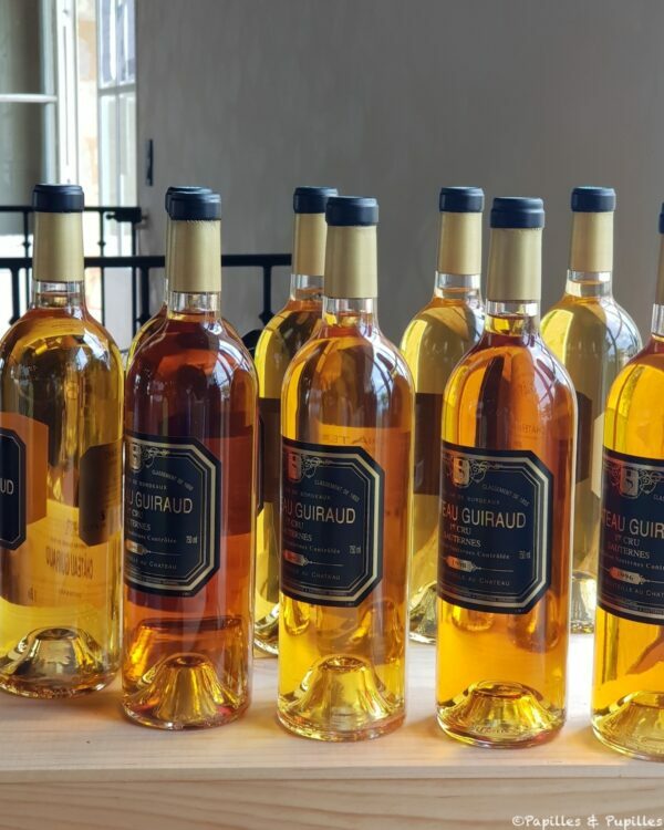 Sauternes - Château Guiraud