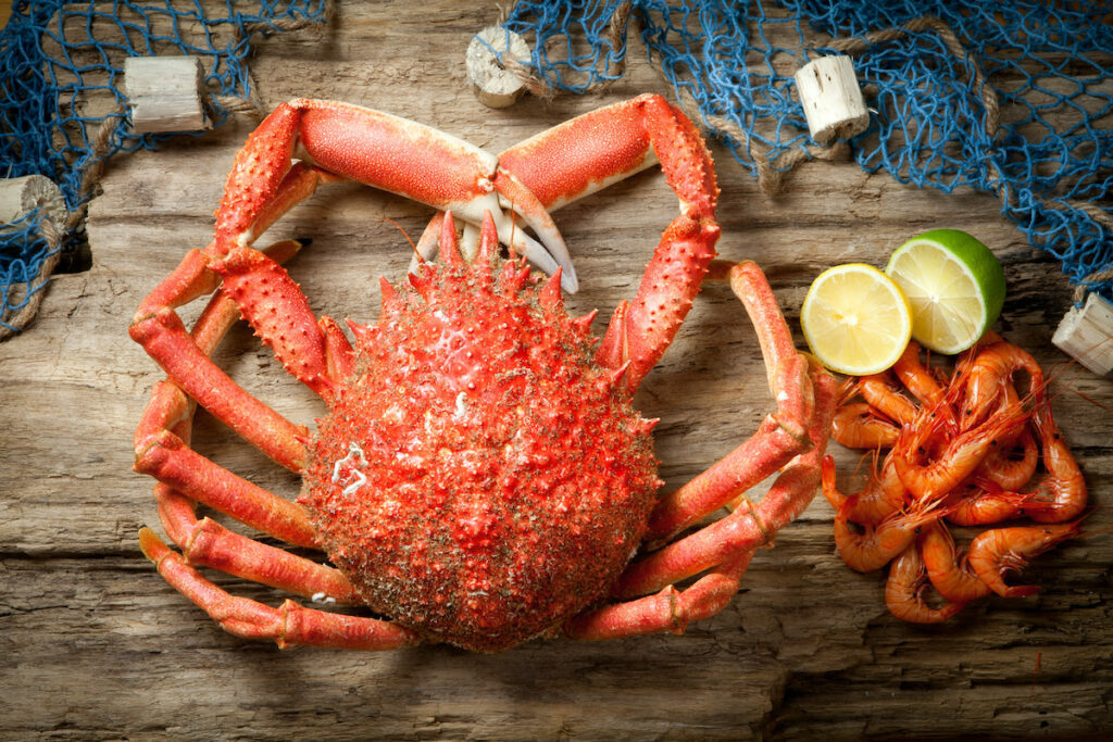 Comment cuire un crabe : tourteau ou araignée de mer
