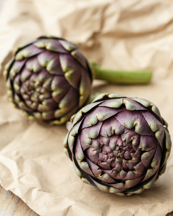 Artichauts Bretons ©anna.q shutterstock