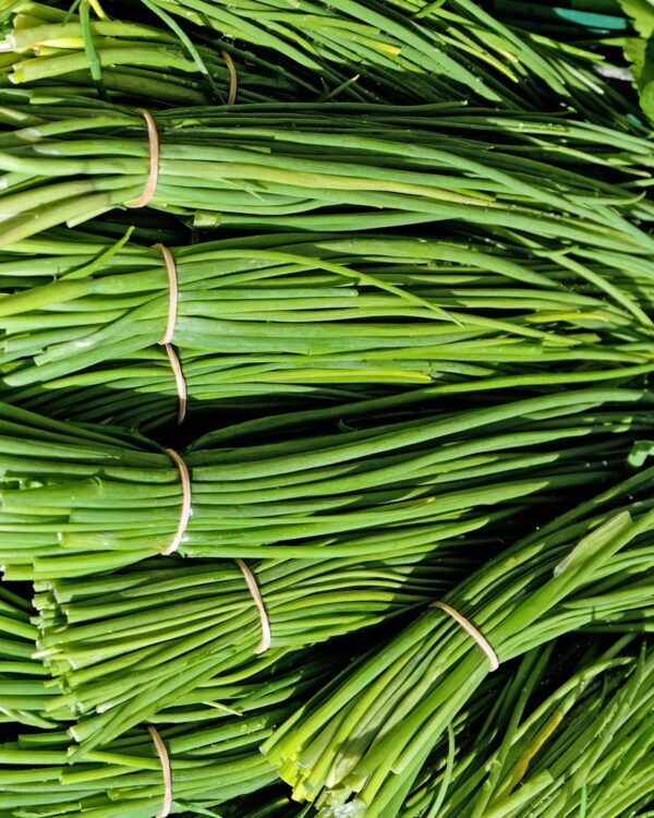 Ciboulettes ©Couleur de Pixabay