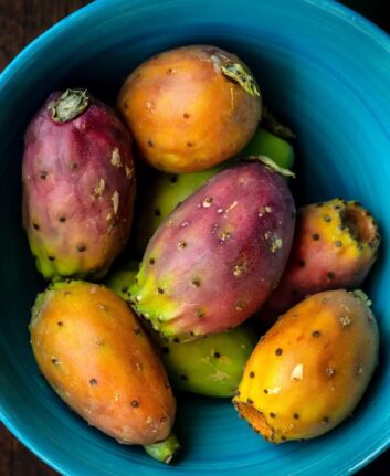 Figues de Barbarie ©anna.q shutterstock