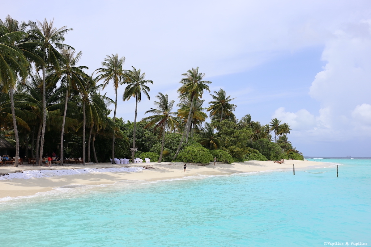 La plage, les Maldives