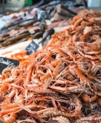 Langoustines ©Franck ROCHETEAU Pixabay