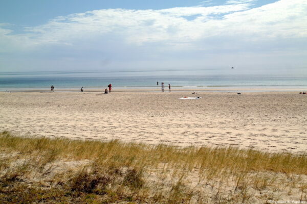 La plage Adélaïde