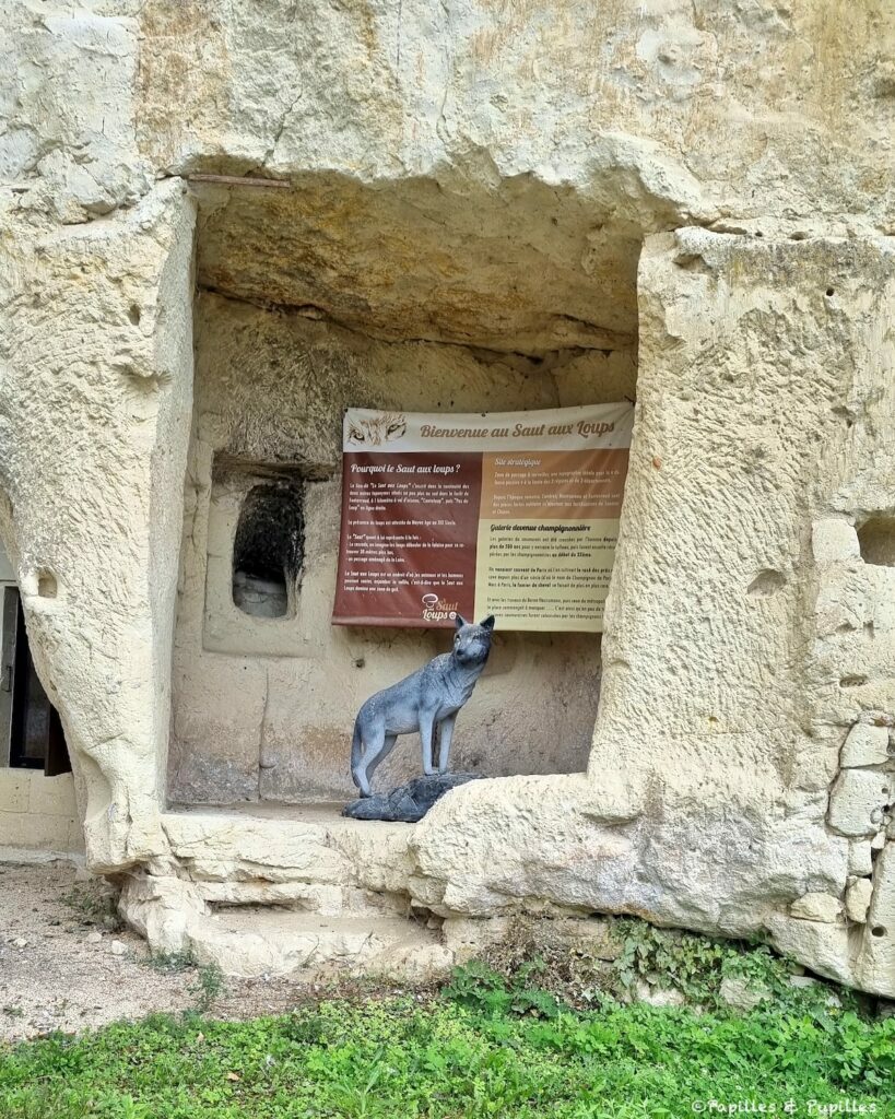 Champignonnière Montsoreau