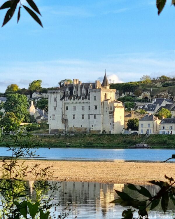 Vue sur le Château de Monstoreau