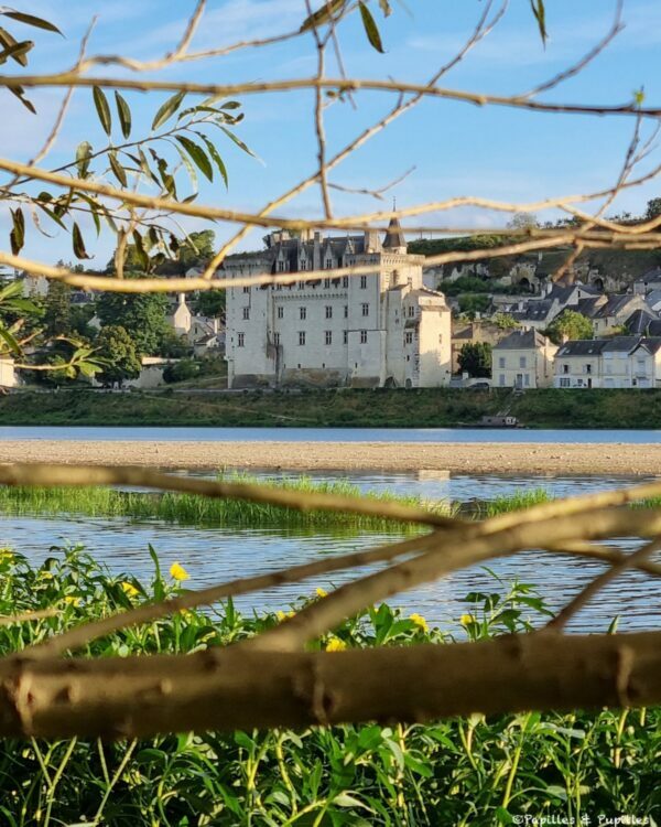 Vue sur le Château de Monstoreau