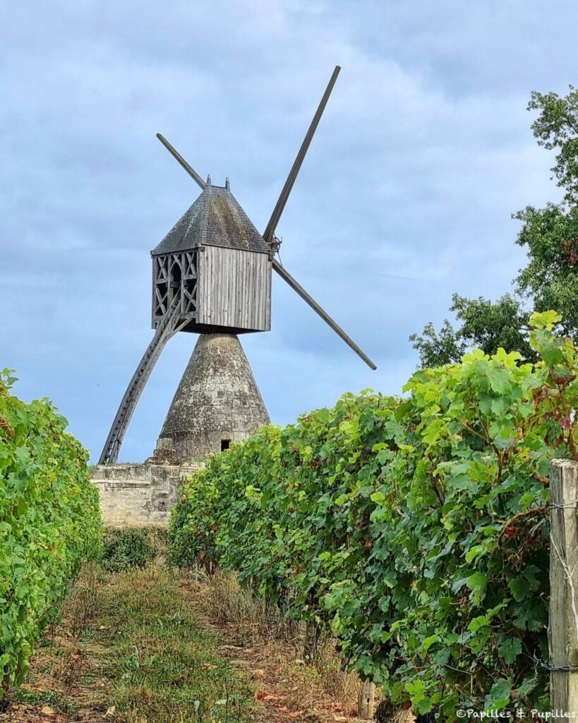 Moulin cavier Montsoreau