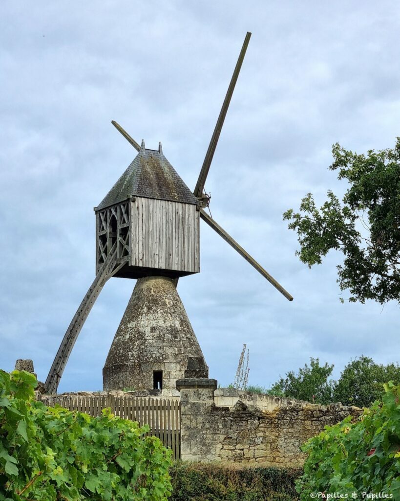 Moulin cavier Montsoreau