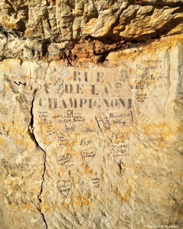 Rue de la Champignonnière