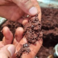 On commence à broyer