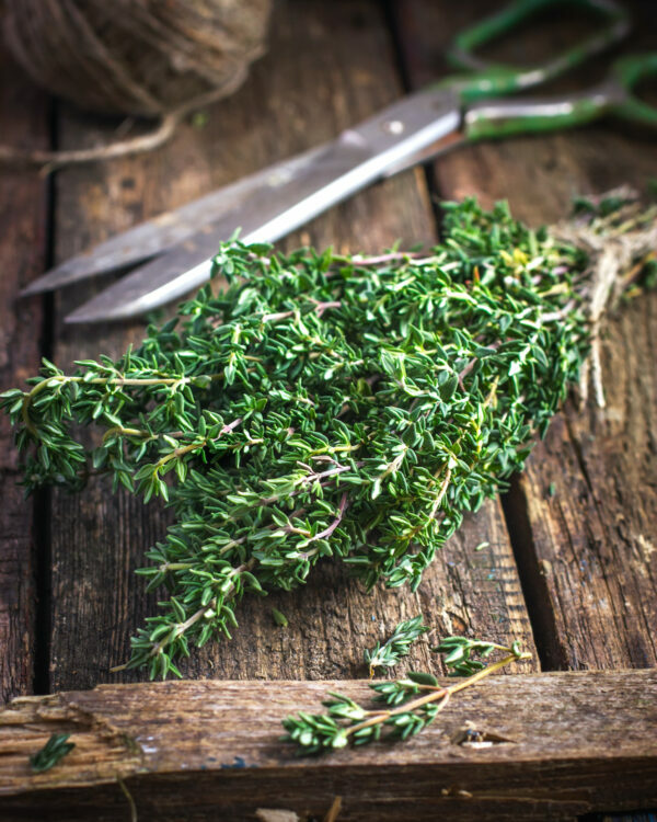 Thym ©Anna Shepulova shutterstock