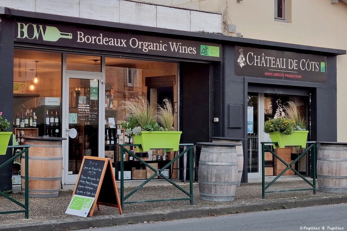 Bordeaux Organic Wines
