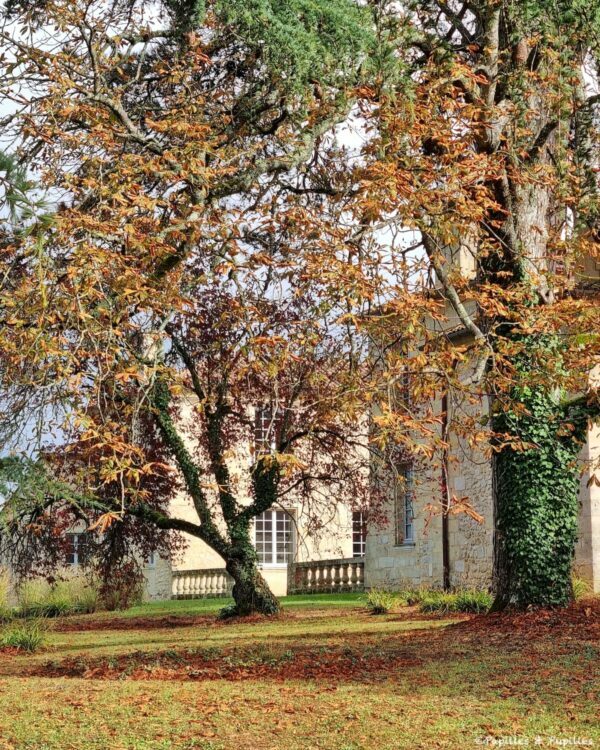 Château de Ferrand