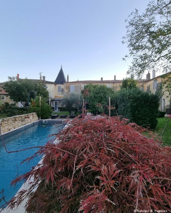 Clos Réaud piscine