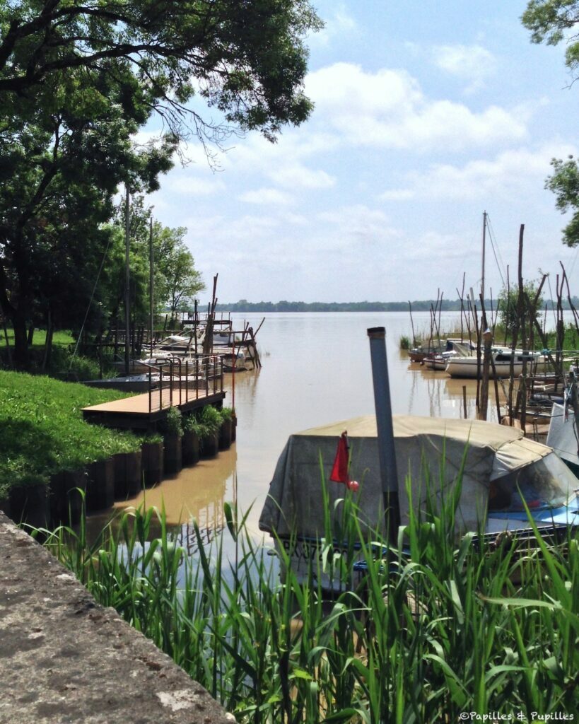 Fenêtre sur l'Estuaire
