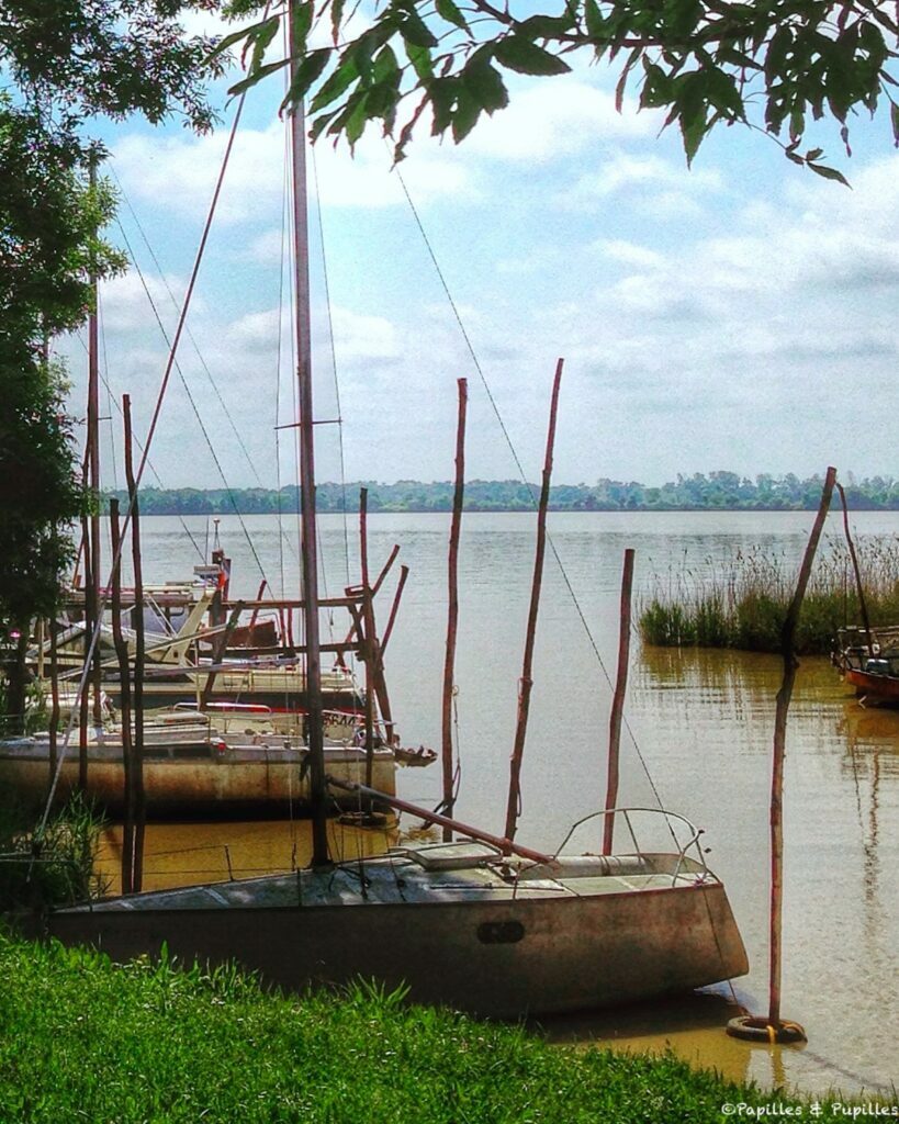 Fenêtre sur l'Estuaire