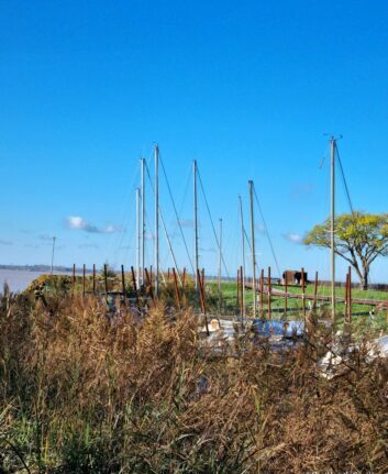Fenêtre sur l'Estuaire
