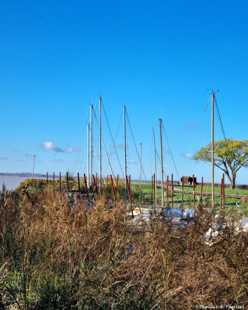 Fenêtre sur l'Estuaire