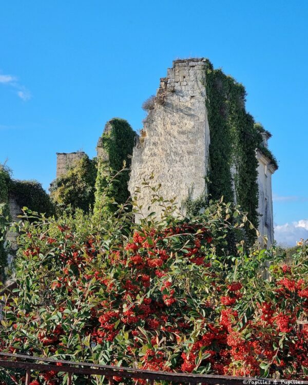 Ruines du Château d'Aiguilhe