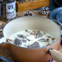 Sauce aux morilles